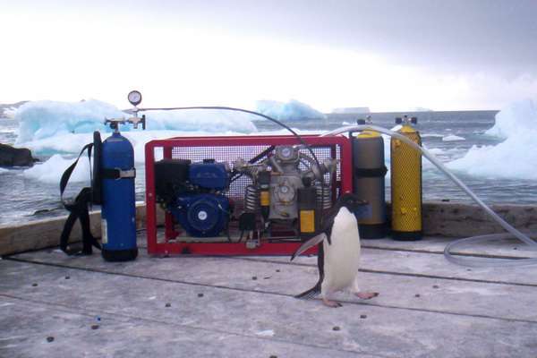 Llegamos al Polo Sur. En la Base Antártica Esperanza